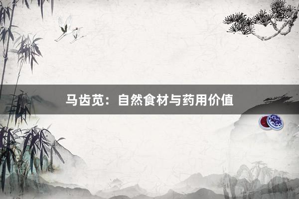 马齿苋:自然食材与药用价值