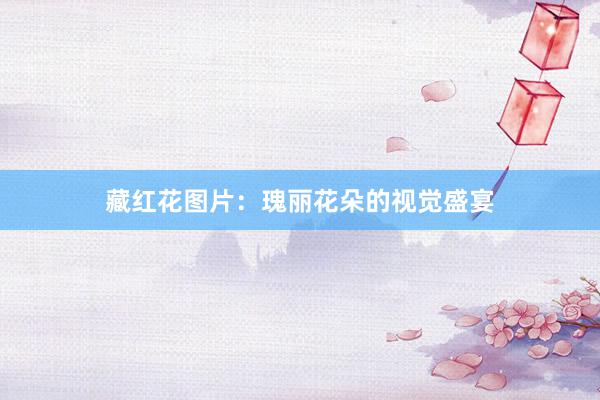 藏红花图片：瑰丽花朵的视觉盛宴
